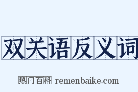 双关语反义词是什么意思的图片